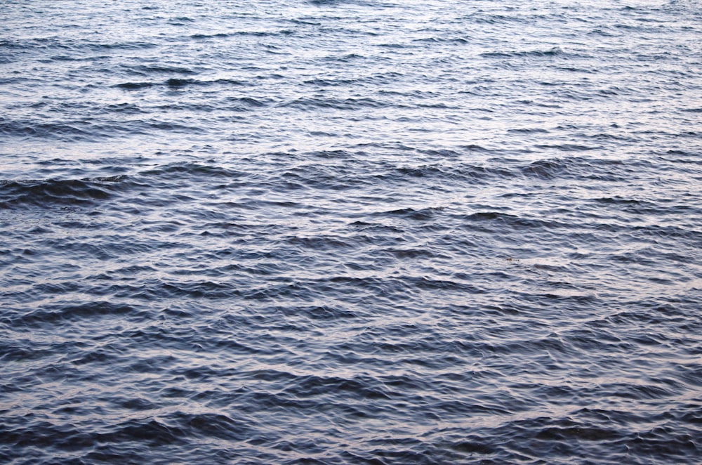 close-up photo of body of water during daytime