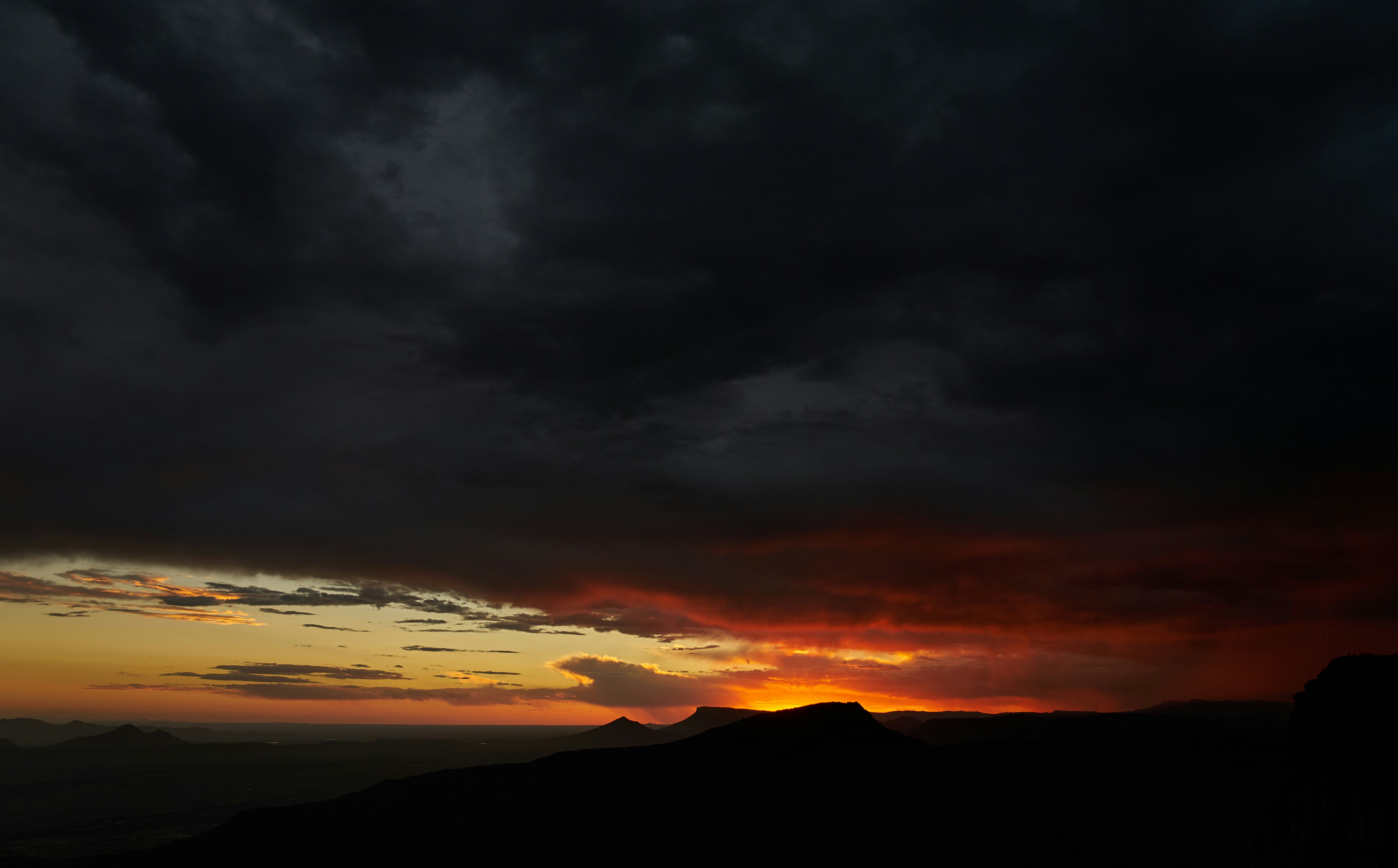 Photo by wolfgang_hasselmann