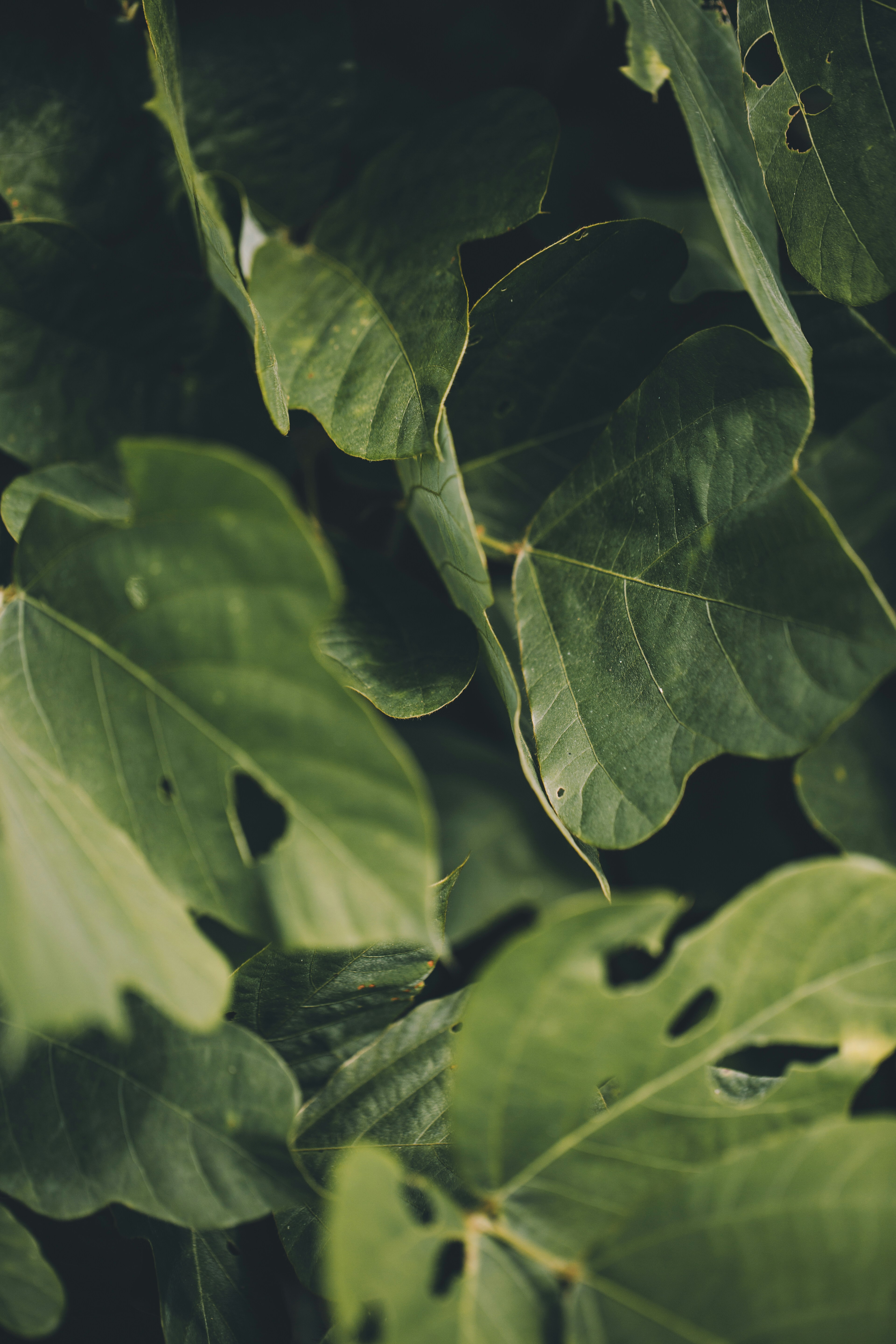 Photo by blakecheekk