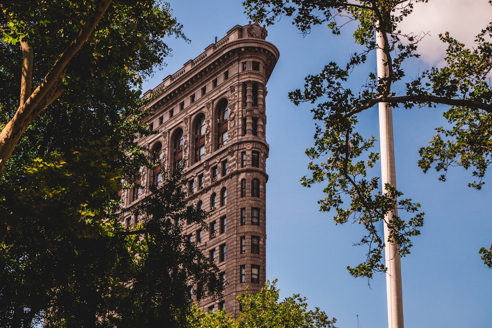 árbol de hojas verdes al lado de un edificio marrón