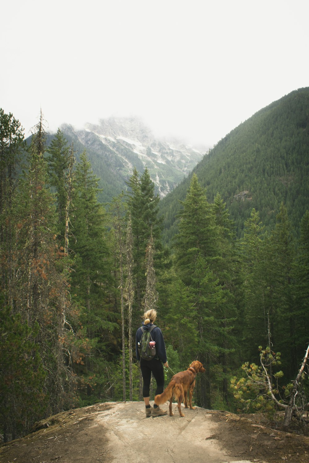 森と山に面した崖の端に立つ犬を連れた女性