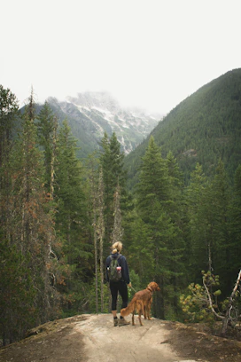 woman with dog standing on edge of cliff facing forest and mountain