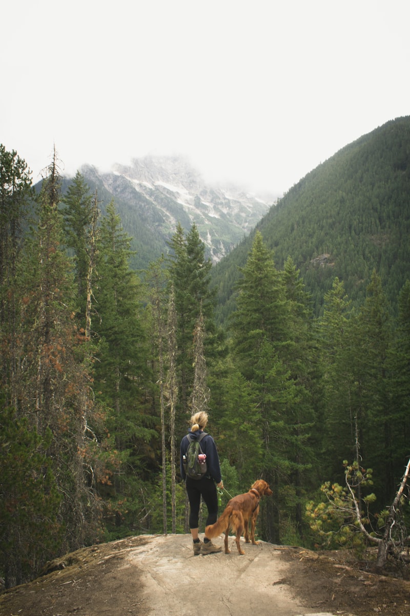 Woman with her dog standing on a cliff overlooking a vast forest and mountain — the reward of shared outdoor adventures
