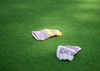 pair of purple-and-white gloves on green grass lawn