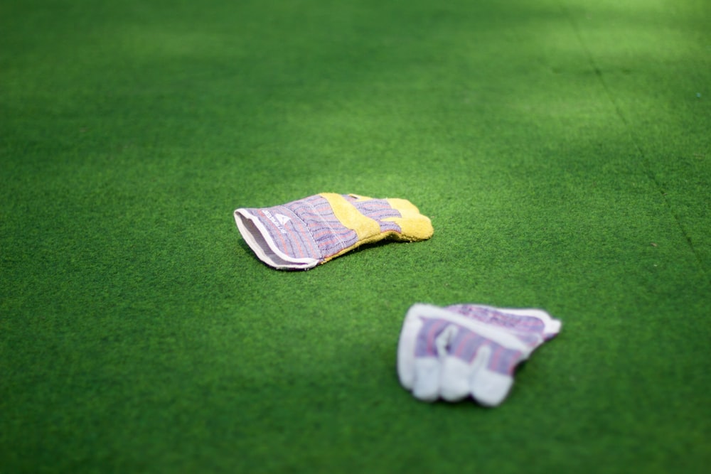 pair of purple-and-white gloves on green grass lawn