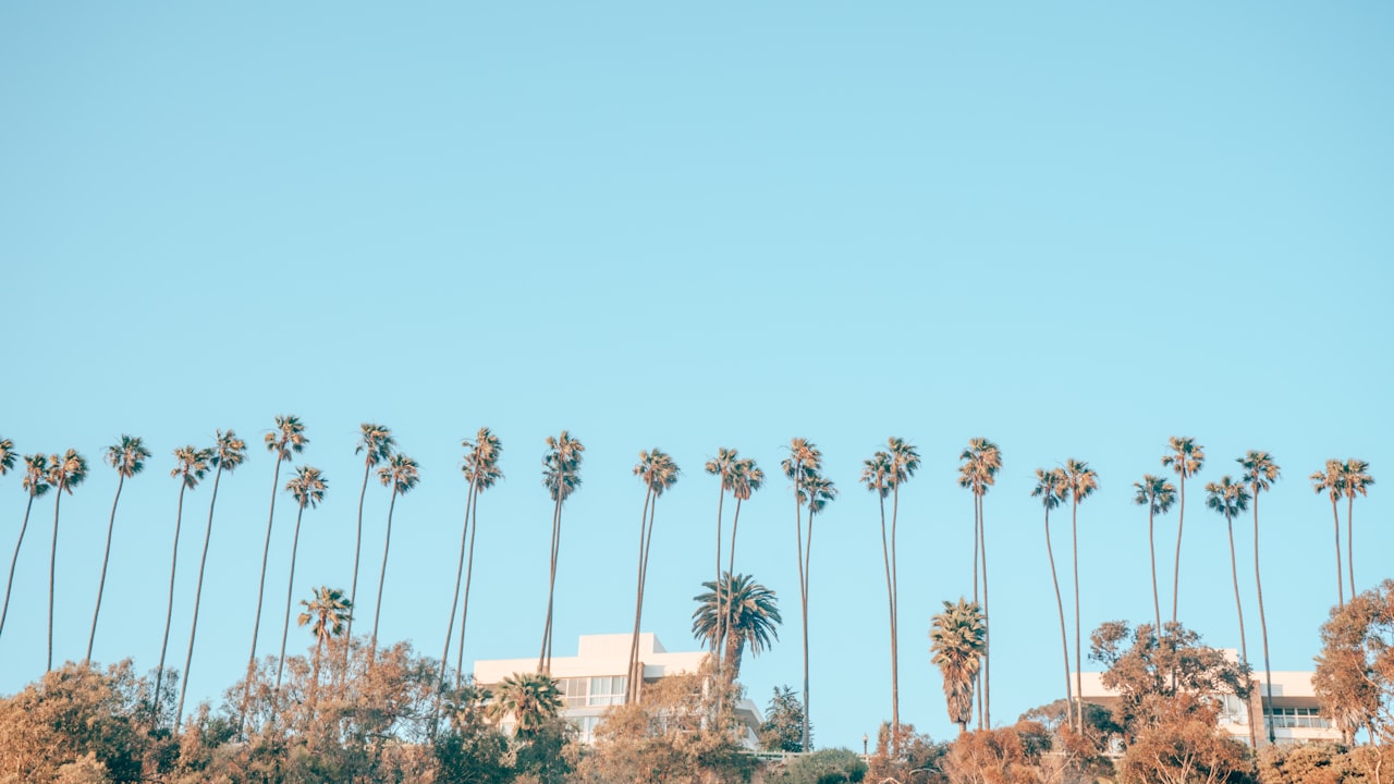 Malibu Skyline Shot with Palm Trees with blue skies