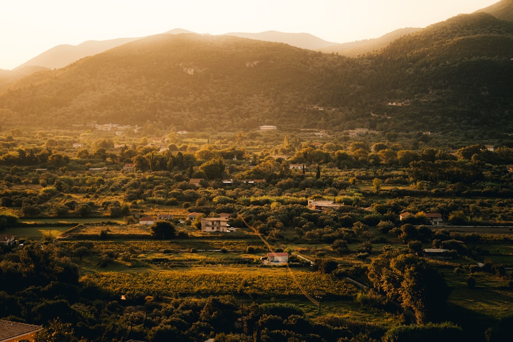 houses beside mountain