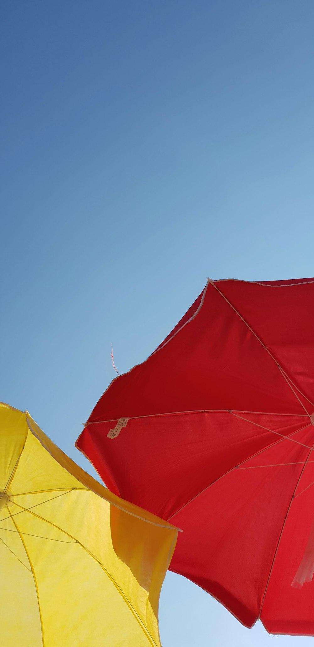 Fotografía de ángulo bajo de paraguas rojo