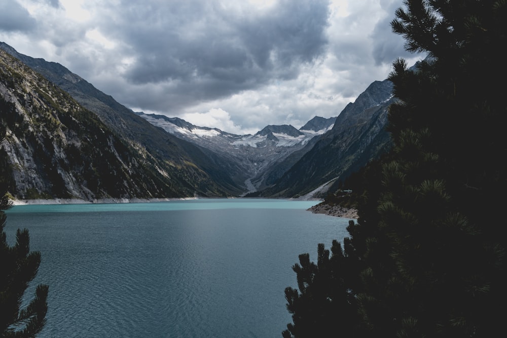 body of water between mountains and trees