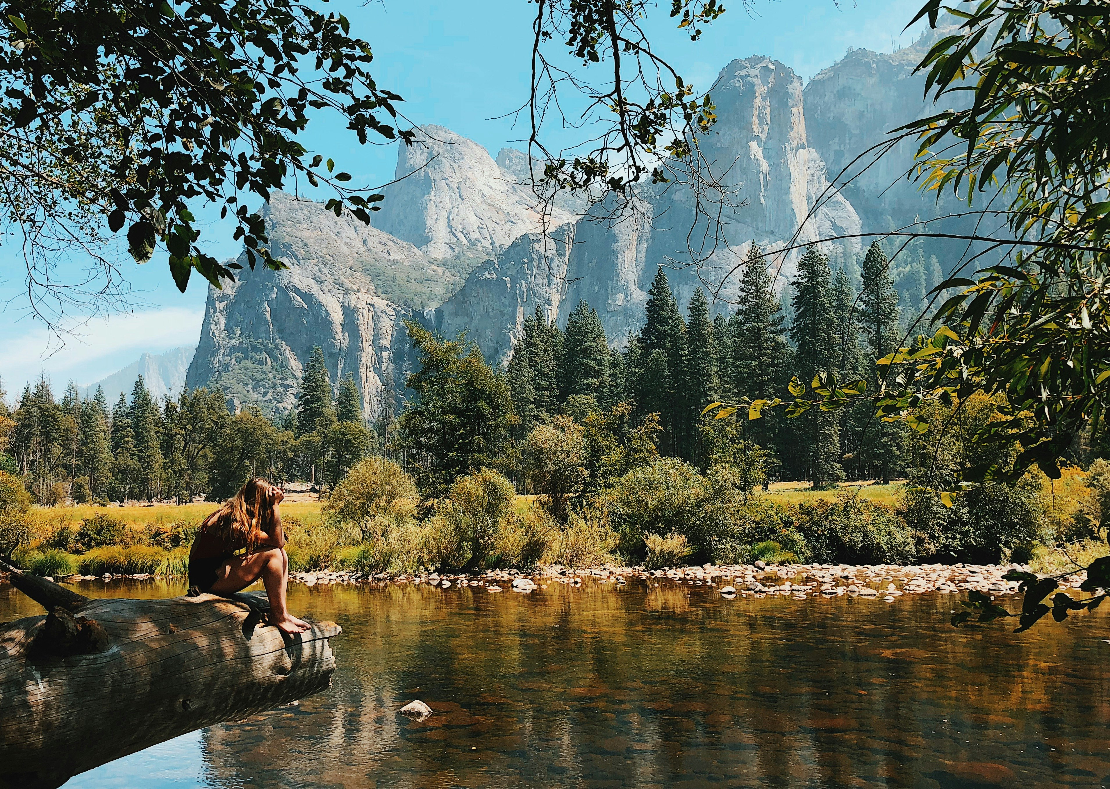 woman sitting on wood near body of water