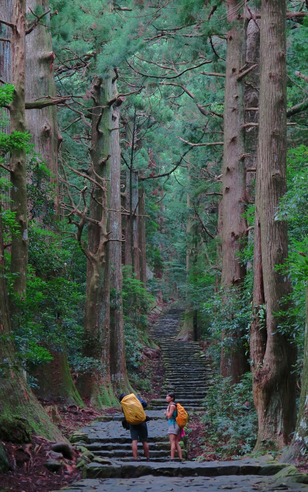 couple standing surrounded trees