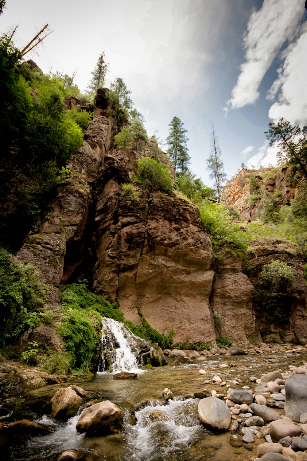 rock formation near green trees