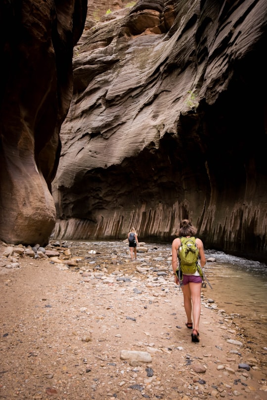 two women walking on rock formation in Zion National Park United States