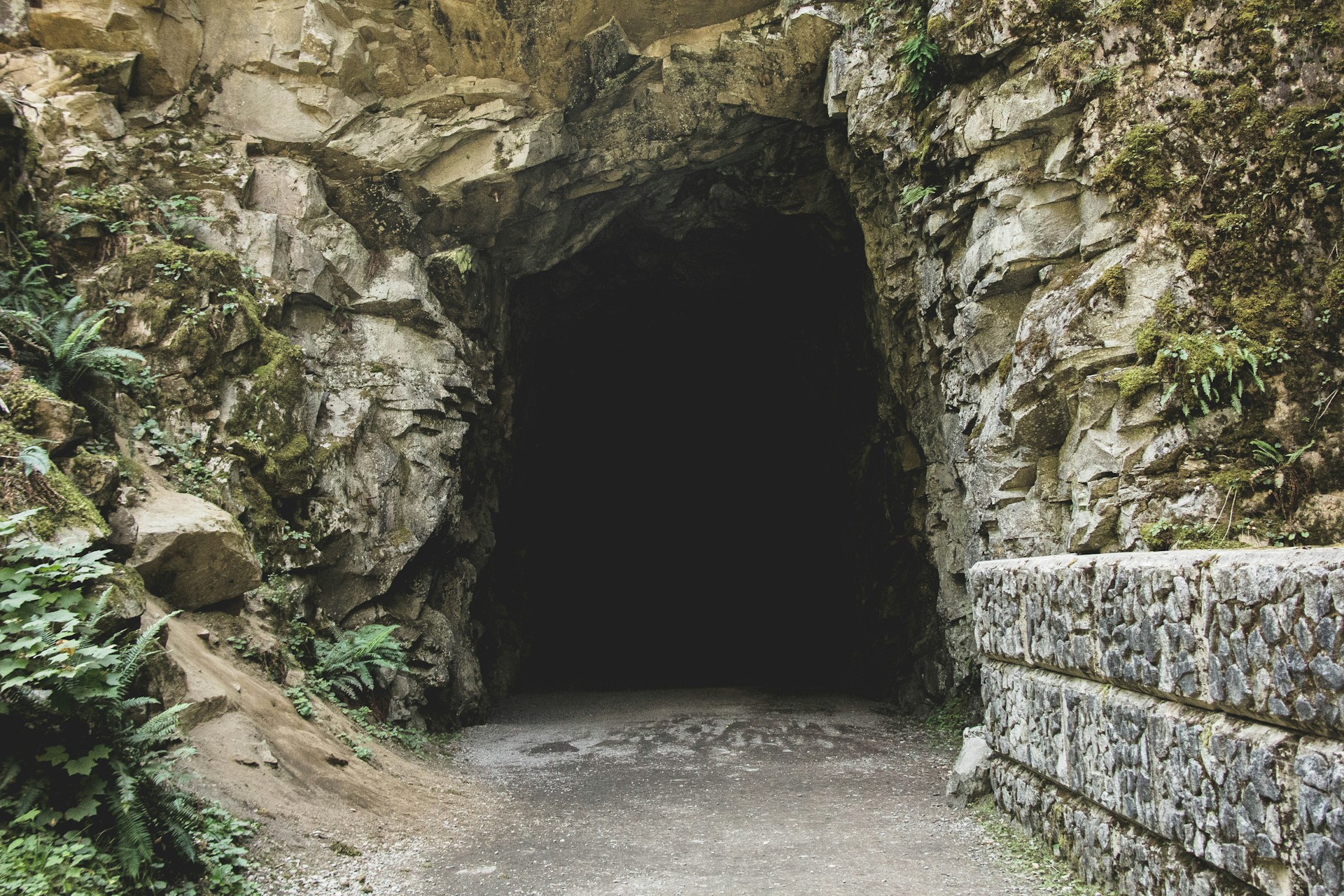 A hidden cave entrance nestled among lush greenery, inviting exploration within the peaceful retreat of 1440 dreamland.