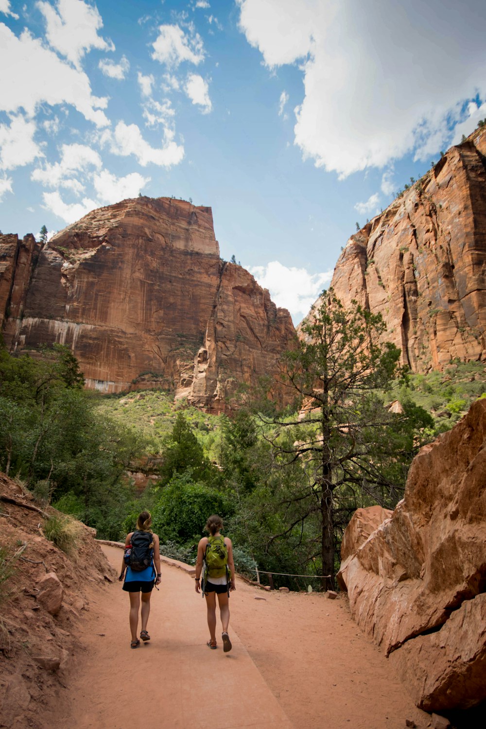 two women walking in front of trees