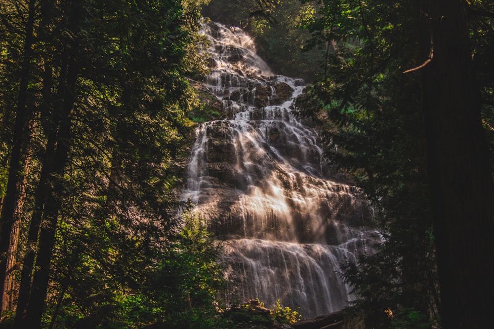 waterfalls near trees at daytime