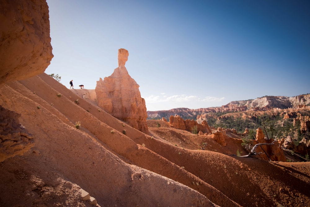 silhouette of man on rock at daytime