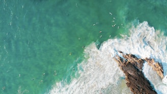 An aerial view of surfers in the ocean near jagged rocks with white waves crashing around them. The water is a striking turquoise color, and surfers are scattered throughout the sea.