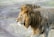 A majestic lion with a full, thick mane is captured in profile as it walks across a grassy landscape. The lion's mane is a golden-brown color, blending seamlessly with its body fur. Its piercing eyes are focused on something in the distance, and its expression conveys a sense of strength and nobility.