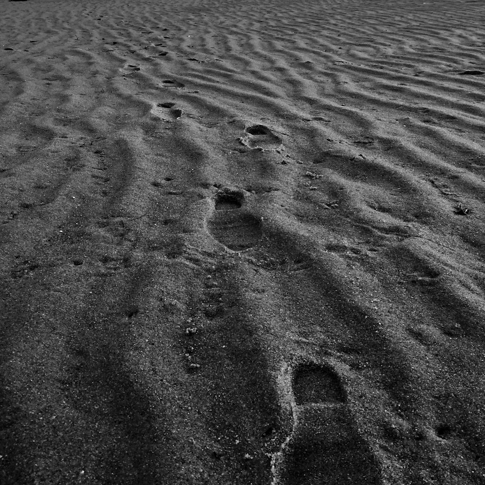 sand dunes with footprints