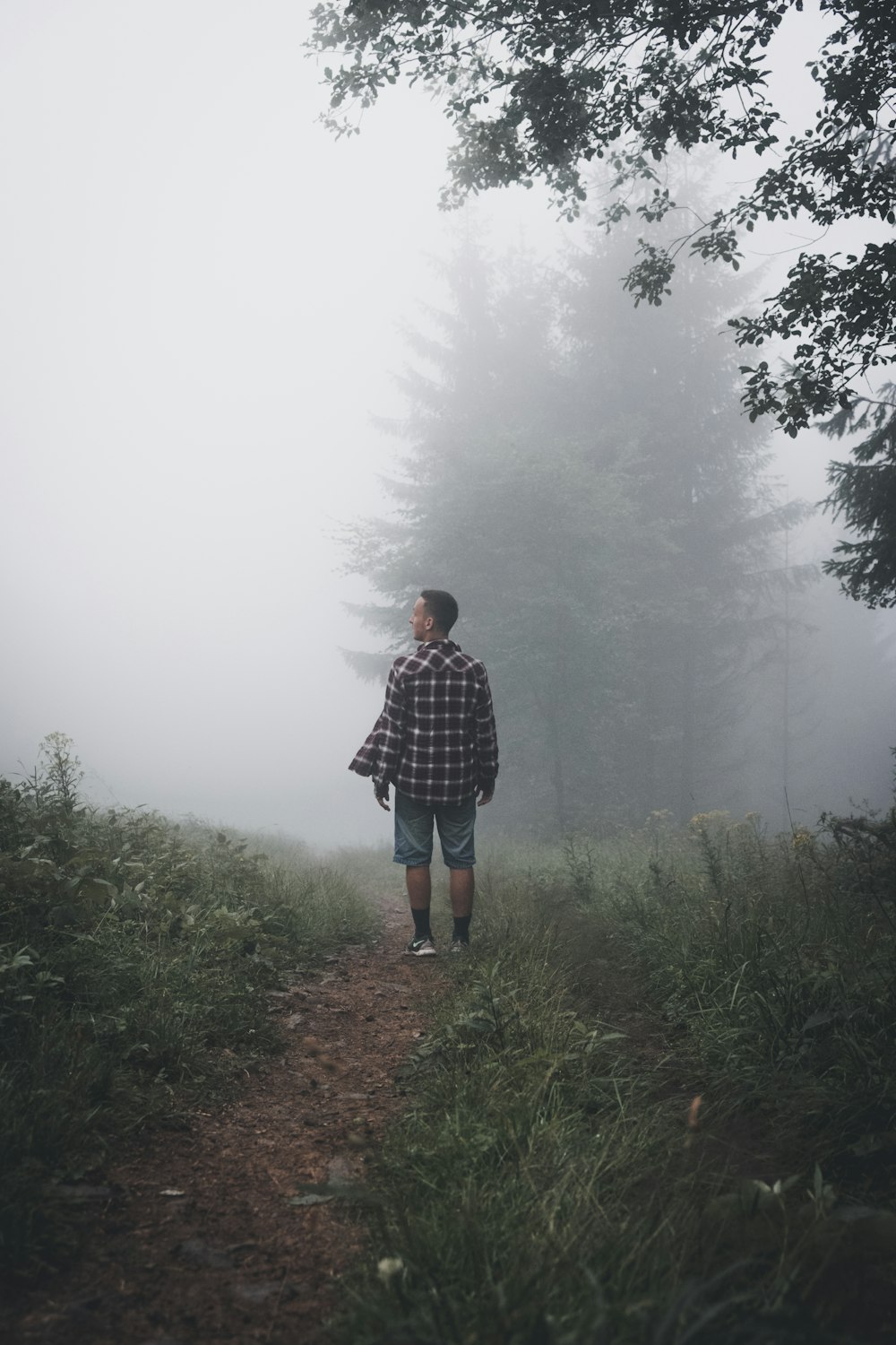 man in black and white plaid dress shirt standing on green grass field during foggy weather