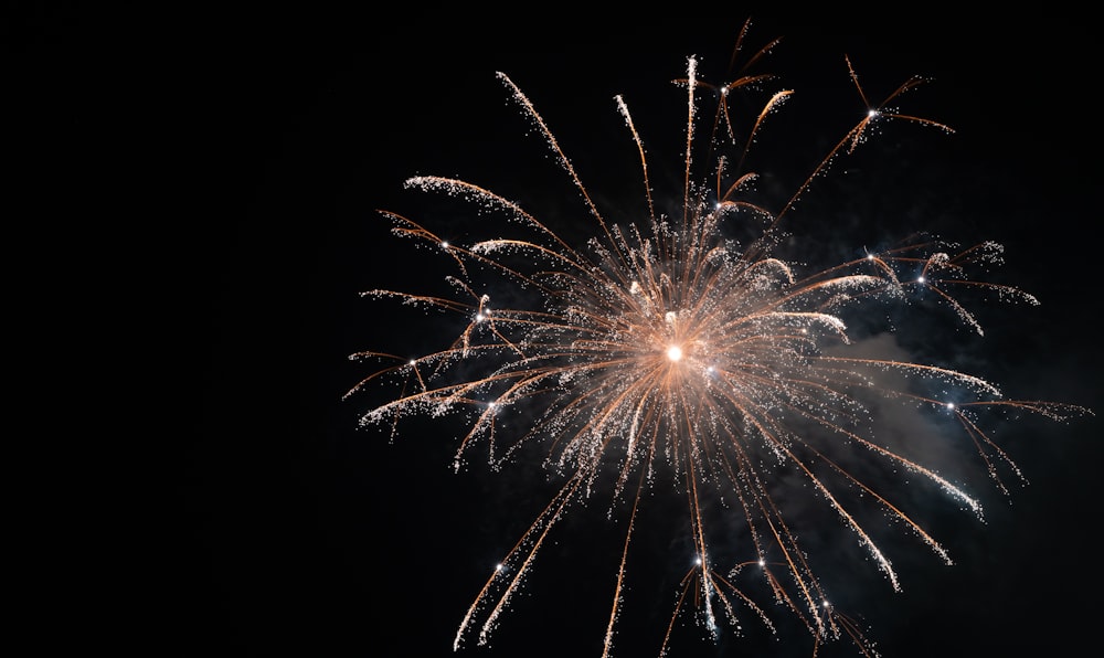 Foto de ángulo bajo de fuegos artificiales durante la noche