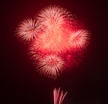 A festive scene with deep red fireworks lighting up the sky.