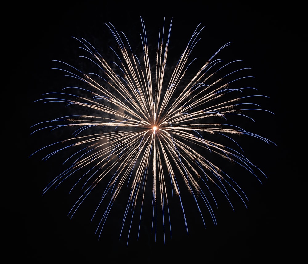 white and blue firework