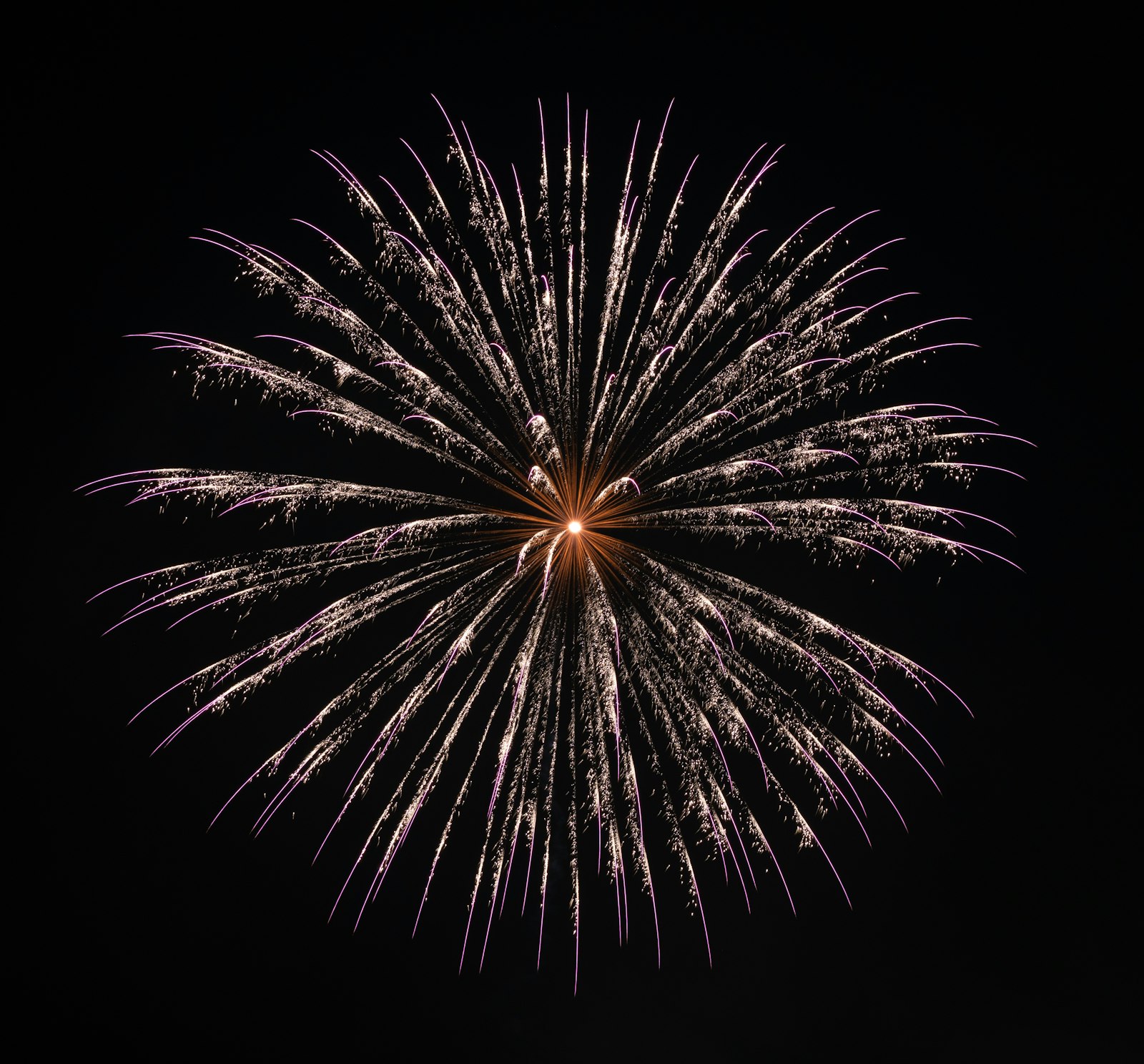 Sony a7R III + Sony Sonnar T* FE 55mm F1.8 ZA sample photo. Fireworks display photography