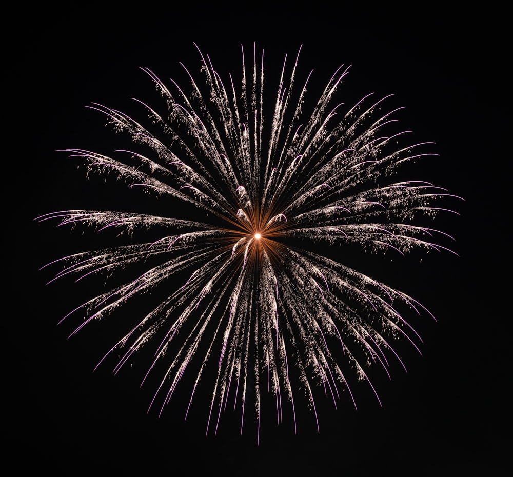 fireworks display