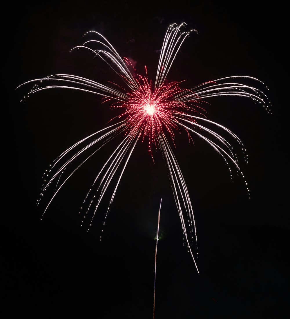 red and white firework display