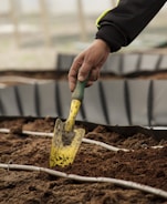 Close-up of a sturdy hand trowel resting on rich soil with fresh green seedlings nearby.