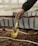 Close-up of a gardener's hands holding a shiny new trowel with soil and green plants in the background.