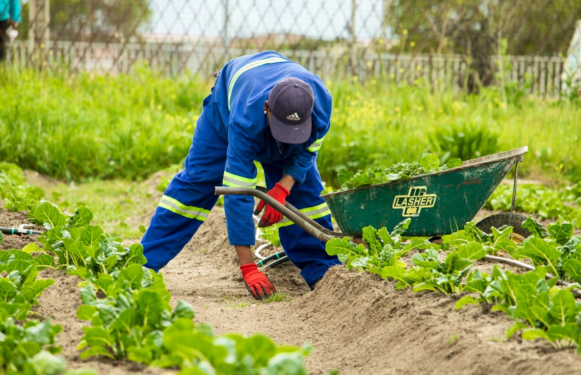 Fem ting du bør vurdere før du aksepterer et tilbud på hagearbeid