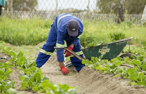 man grabbing a green grass wearing pair of red garden gloves