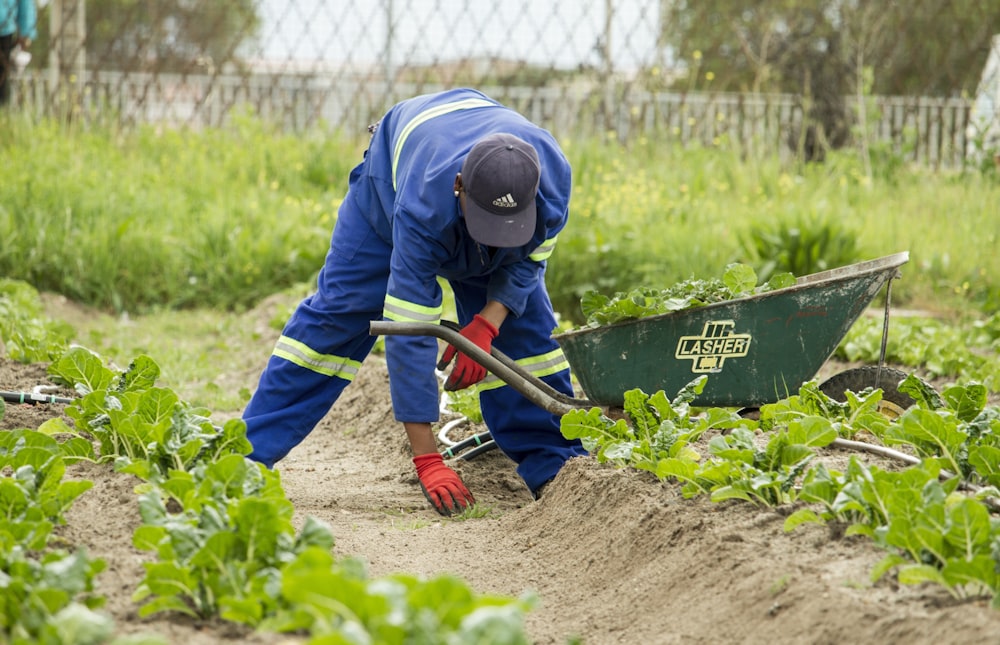 Uomo che afferra un'erba verde indossando un paio di guanti da giardino  rossi foto – Sud Africa Immagine gratuita su Unsplash