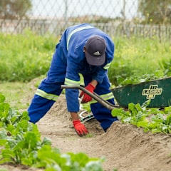Fem ting du bør vurdere før du aksepterer et tilbud på hagearbeid