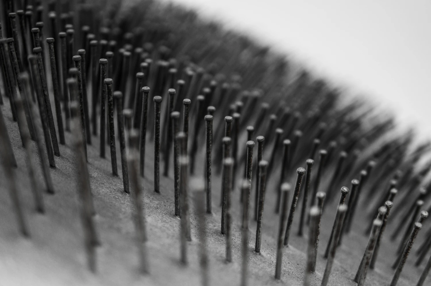 A close-up of the soft bristle pad of a bench brush under raking light