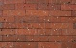 A close-up of bricks and cement ready for use.