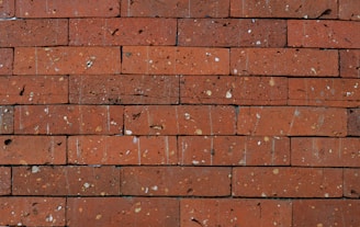 A close-up view of a brick wall composed of rectangular red bricks. The bricks have a rough texture with visible mortar lines and some speckles or small inclusions on the surface.