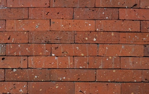 A close-up of bricks and cement ready for use.