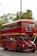 A classic red double-decker bus with signage for a wedding party is parked on a street. The bus is decorated with ribbons and has a sign that reads '2018 Happy Wedding Day' above the windshield. It is surrounded by greenery and trees in the background.