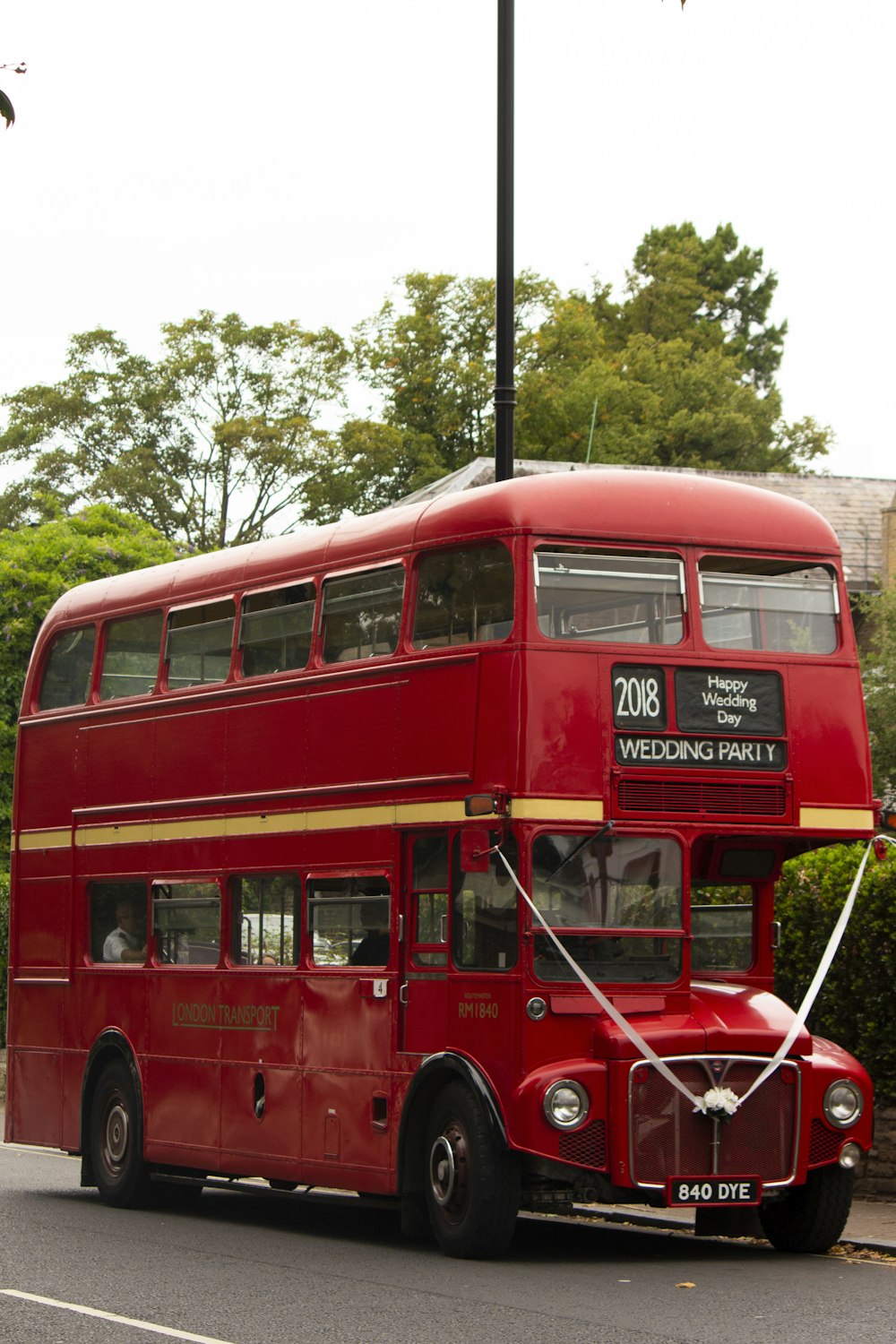 red Wedding Party double decker bus on road near trees and house