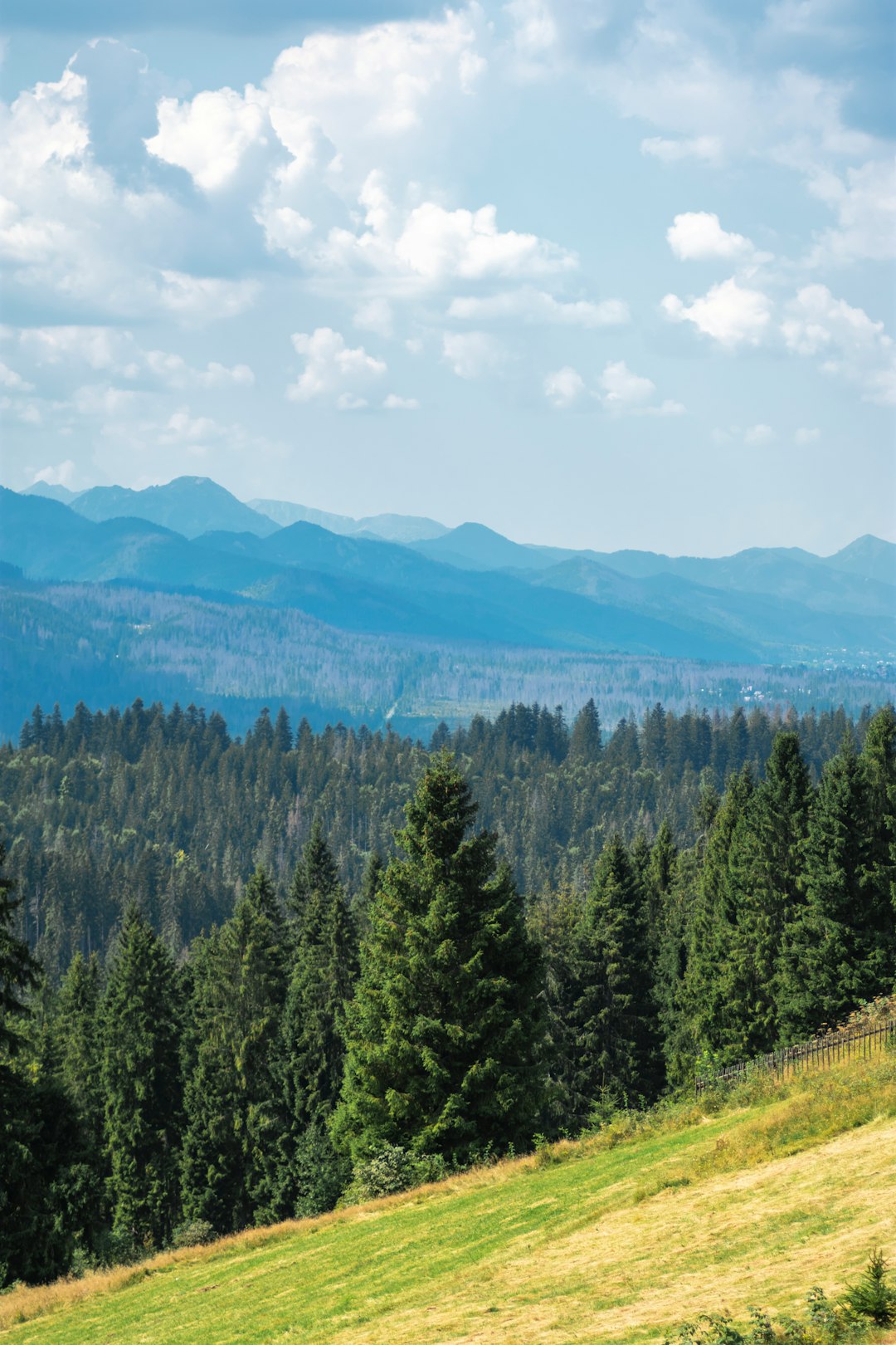 travelers stories about Hill station in Polana-Głodówka, Poland