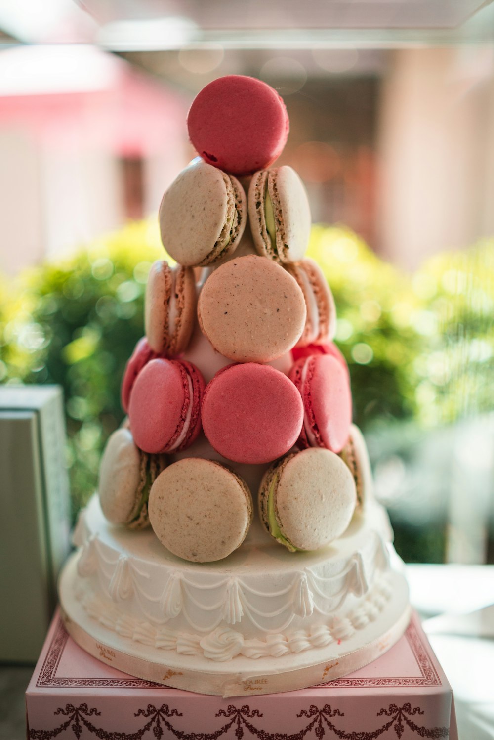 shift-tilt lens photography of French macaroons