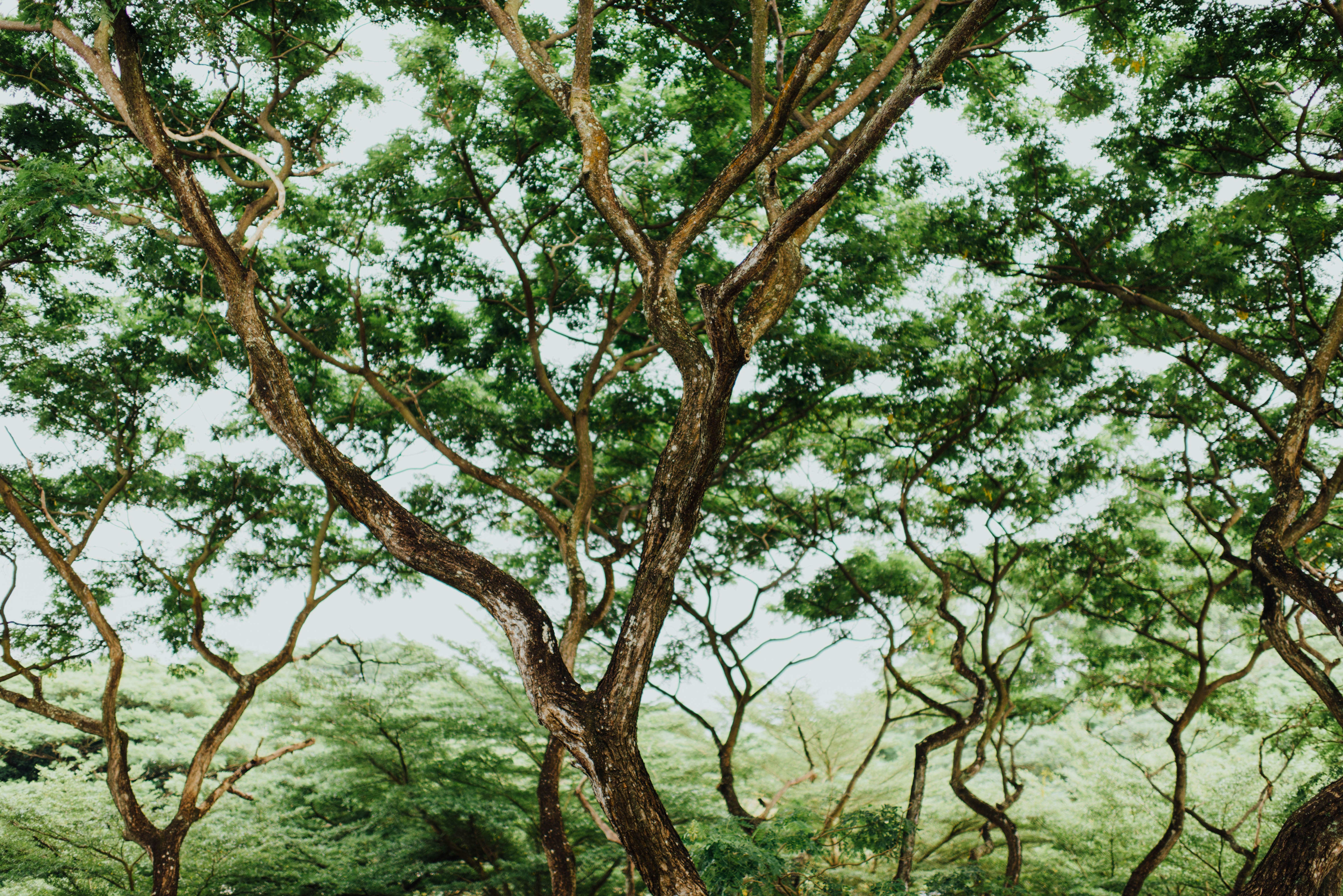 Photo by chuttersnap