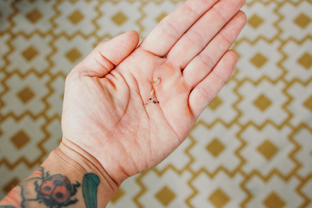 a person's hand with a tiny bug on it