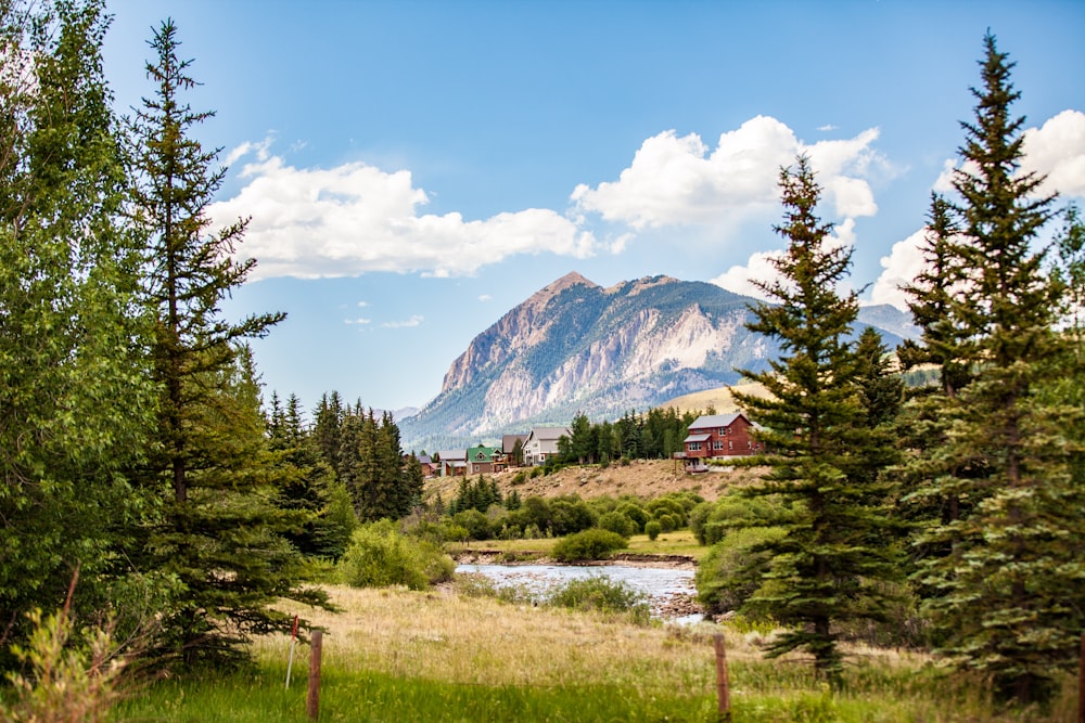 Una vista panoramica di una montagna con un fiume in primo piano