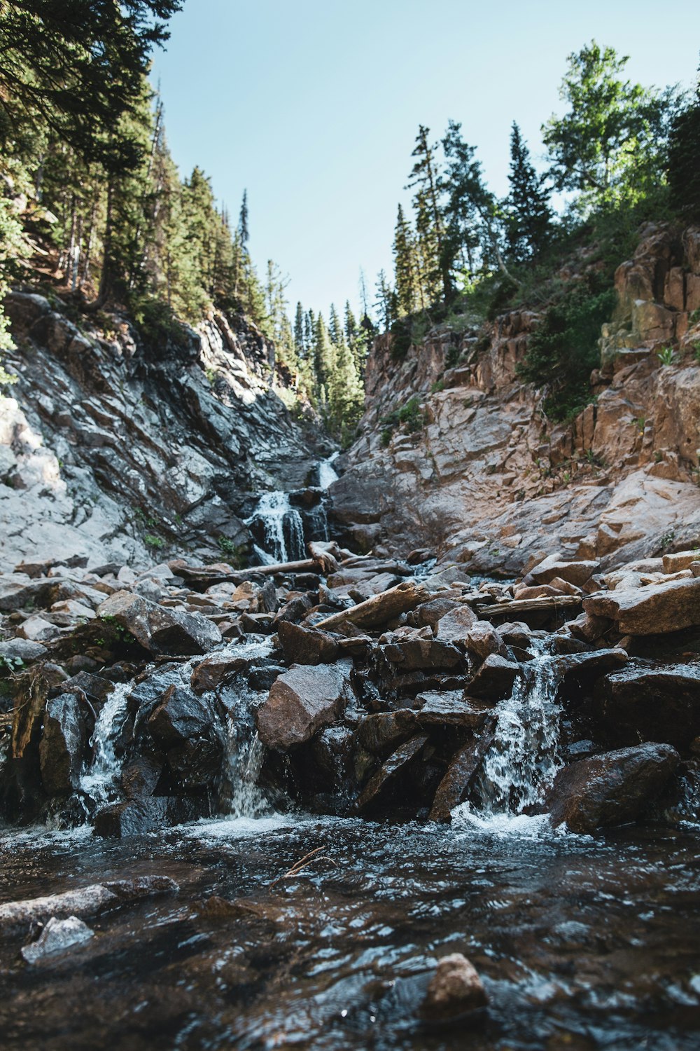 a man standing on a rocky stream next to a forest