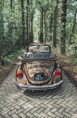 person riding car